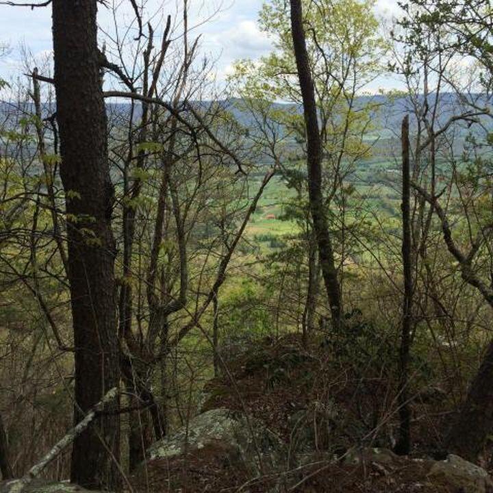 Windridge Drive #LOT 25, Dunlap, Tennessee image 4