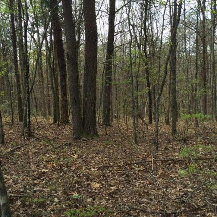 Windridge Drive #LOT 25, Dunlap, Tennessee image 16
