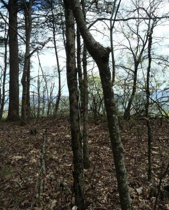 Windridge Drive #LOT 25, Dunlap, Tennessee image 6
