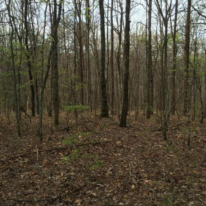 Windridge Drive #LOT 25, Dunlap, Tennessee image 11