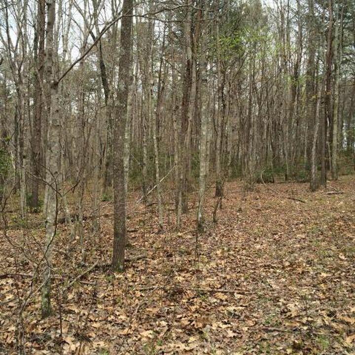 Windridge Drive #LOT 25, Dunlap, Tennessee image 12