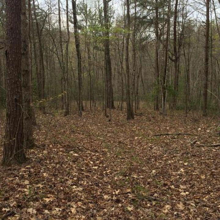 Windridge Drive #LOT 25, Dunlap, Tennessee image 10