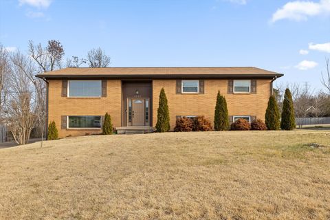 Photo of 2307 Arroyo Drive, Chattanooga, TN 37421 (MLS # 1527562)