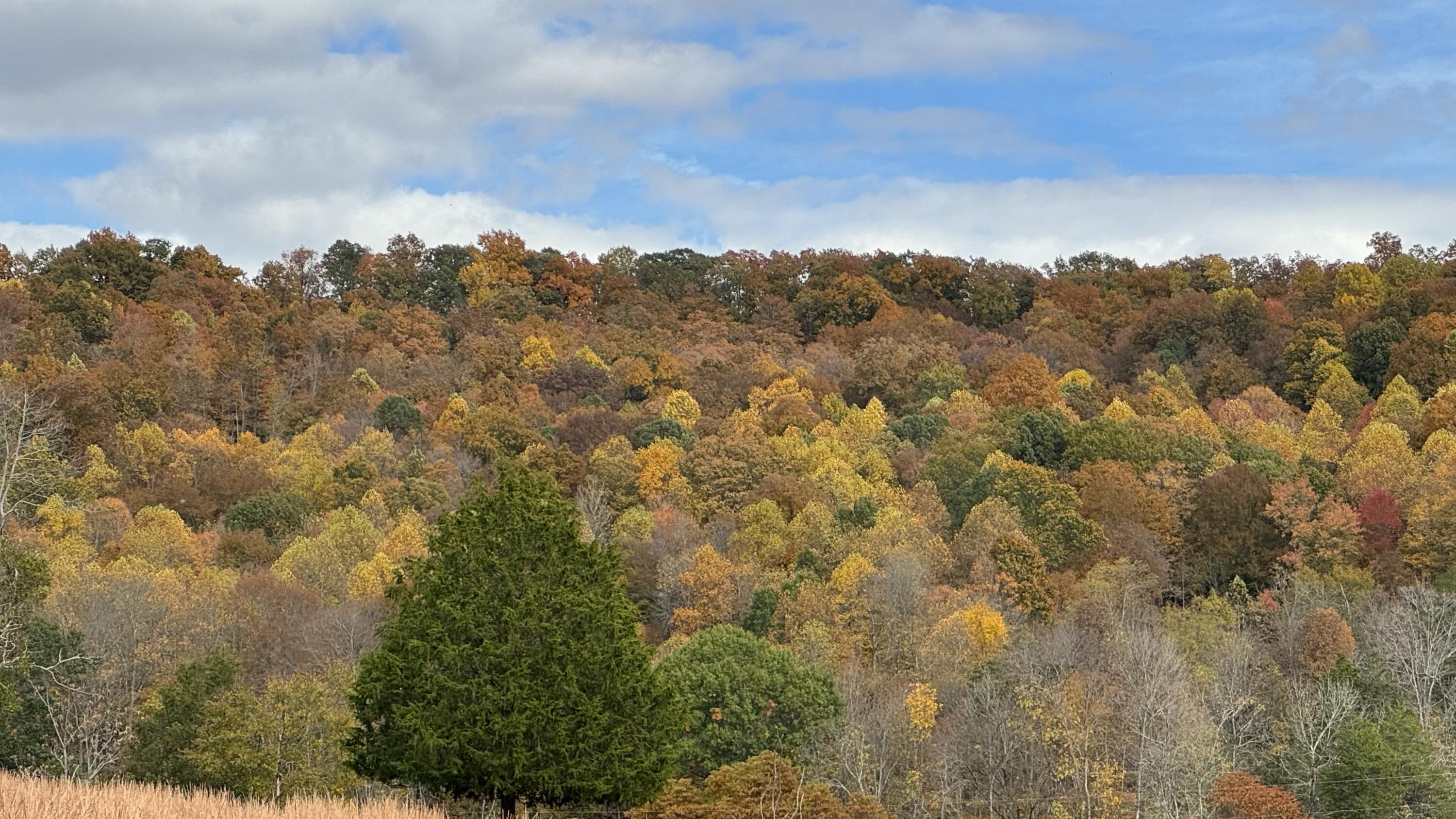 Board Valley Road, Cookeville, Tennessee image 10