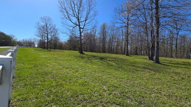 217 A Day Dream Drive, Dunlap, Tennessee image 4