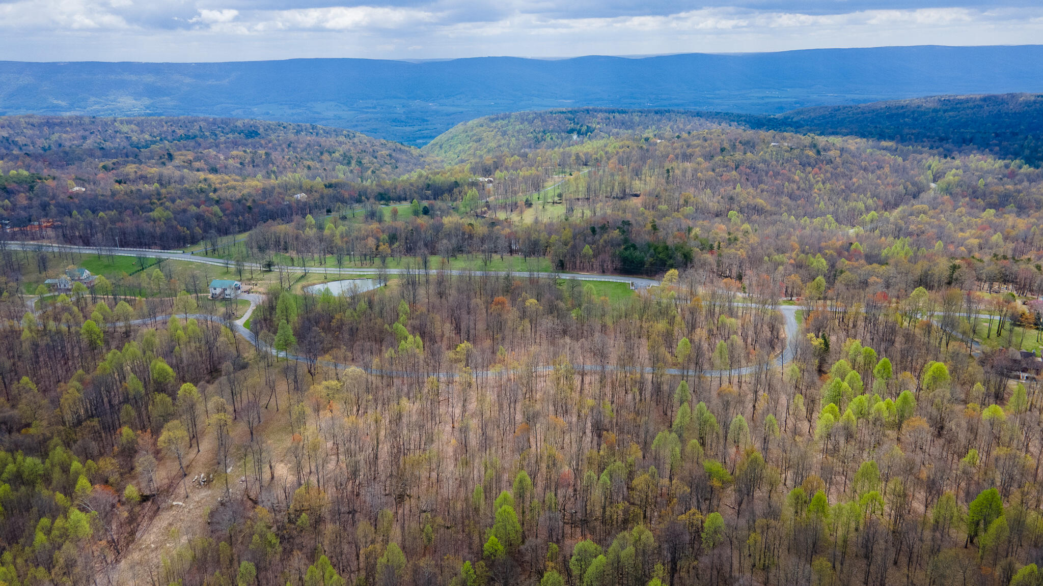 217 A Day Dream Drive, Dunlap, Tennessee image 12
