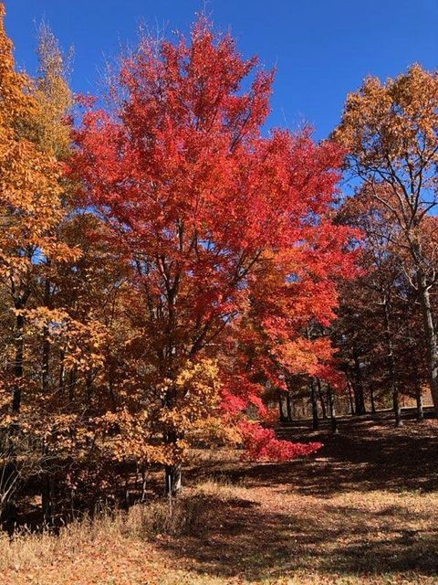 Photo of 217 A Day Dream Drive, Dunlap, TN 37327 (MLS # 1511170)