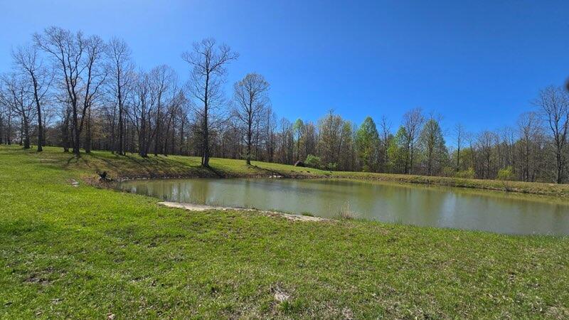 217 A Day Dream Drive, Dunlap, Tennessee image 1