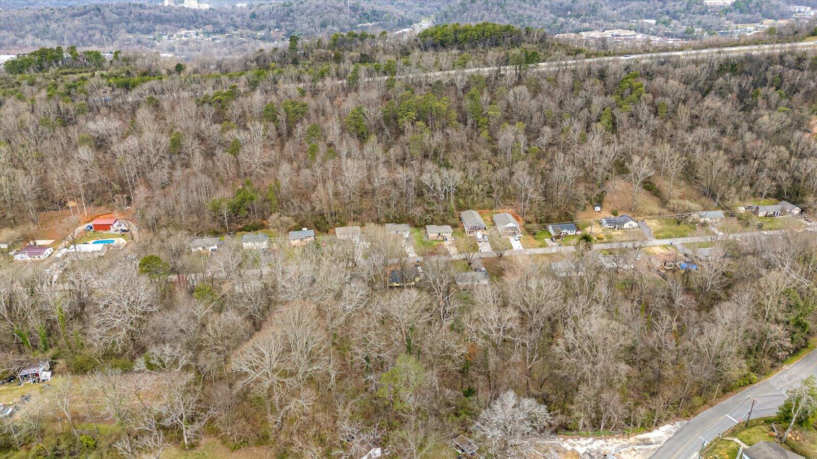 Hedgewood Drive, Chattanooga, Tennessee image 17