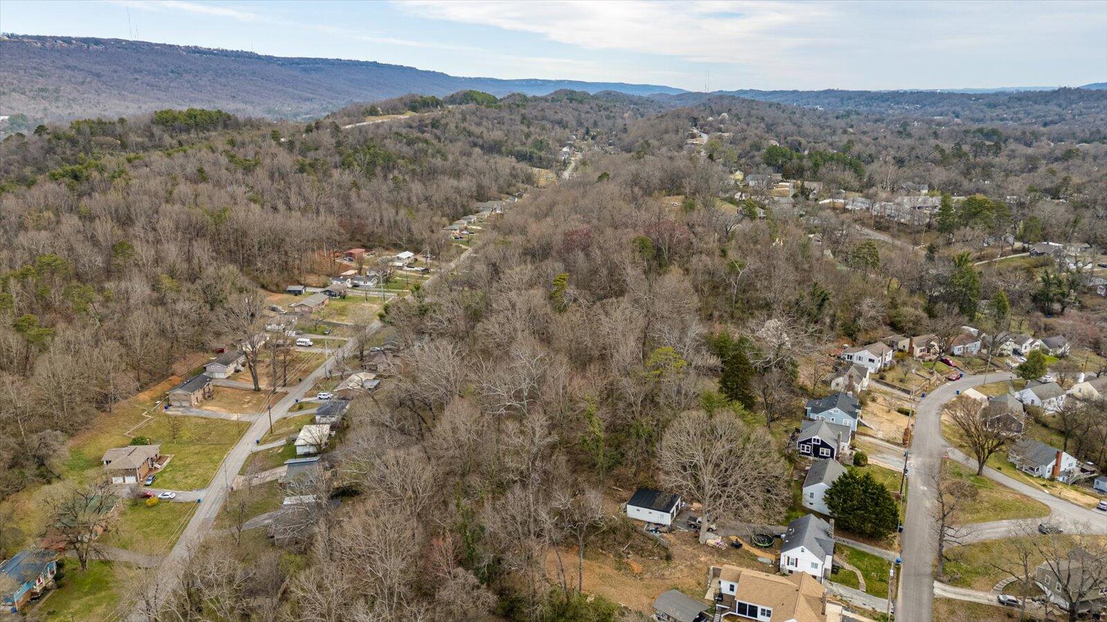 Hedgewood Drive, Chattanooga, Tennessee image 7