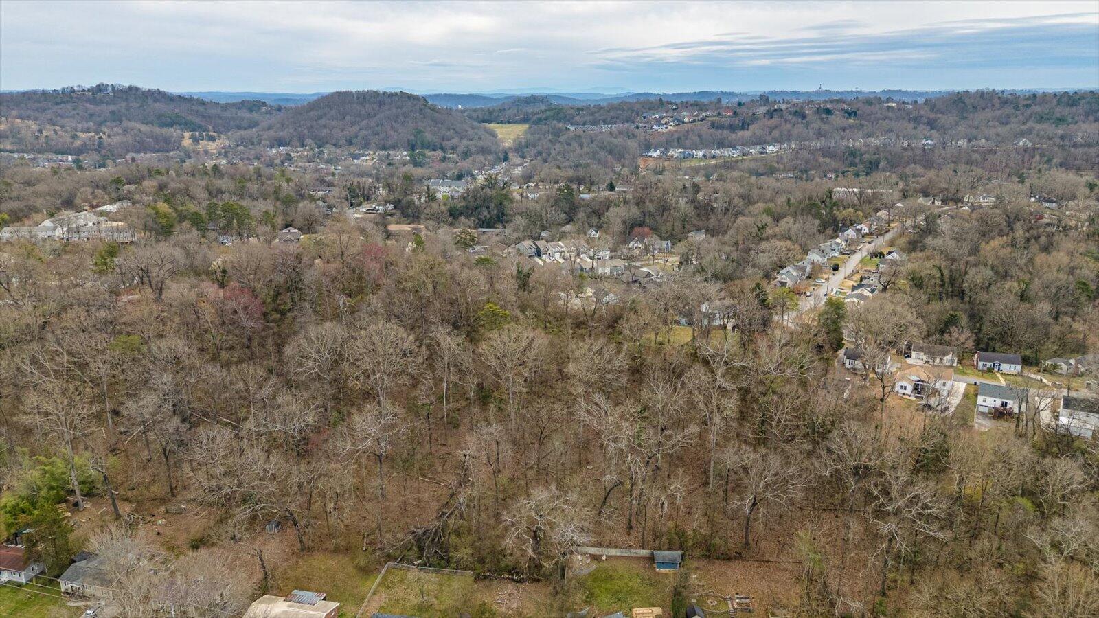 Hedgewood Drive, Chattanooga, Tennessee image 9