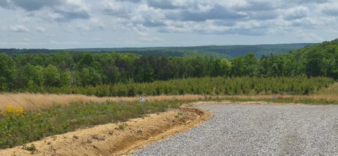 Vacant Land For Sale - 47 Pineview Road<br/> Dunlap, TN 37327