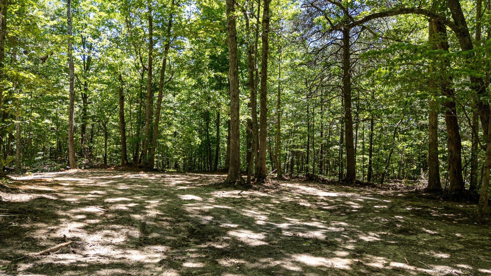 2803 Us 127, Signal Mountain, Tennessee image 8