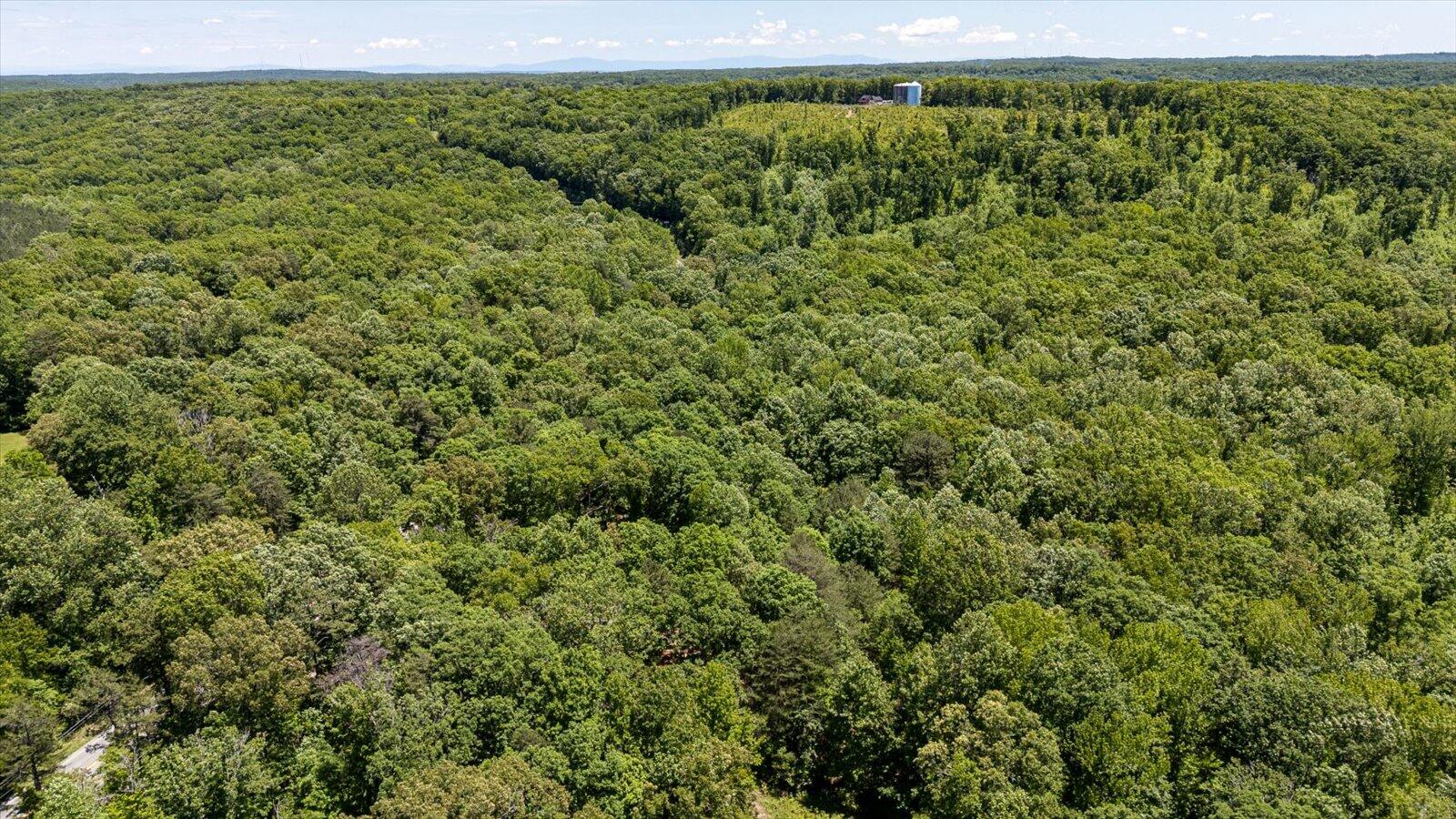 2803 Us 127, Signal Mountain, Tennessee image 15