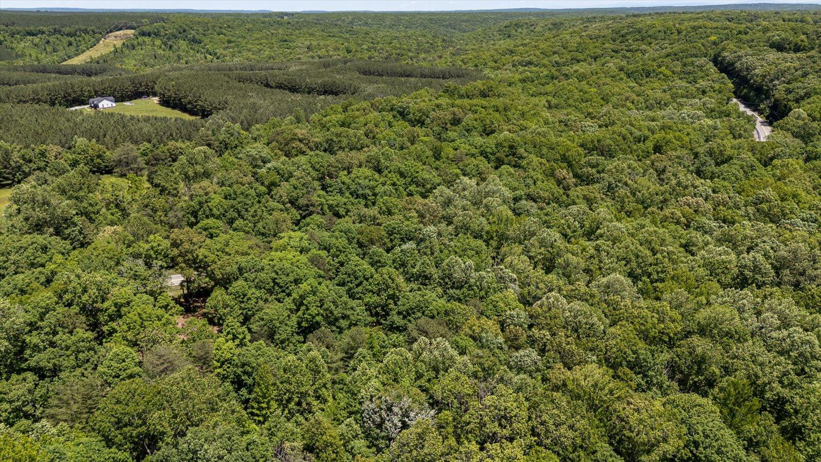 2803 Us 127, Signal Mountain, Tennessee image 16
