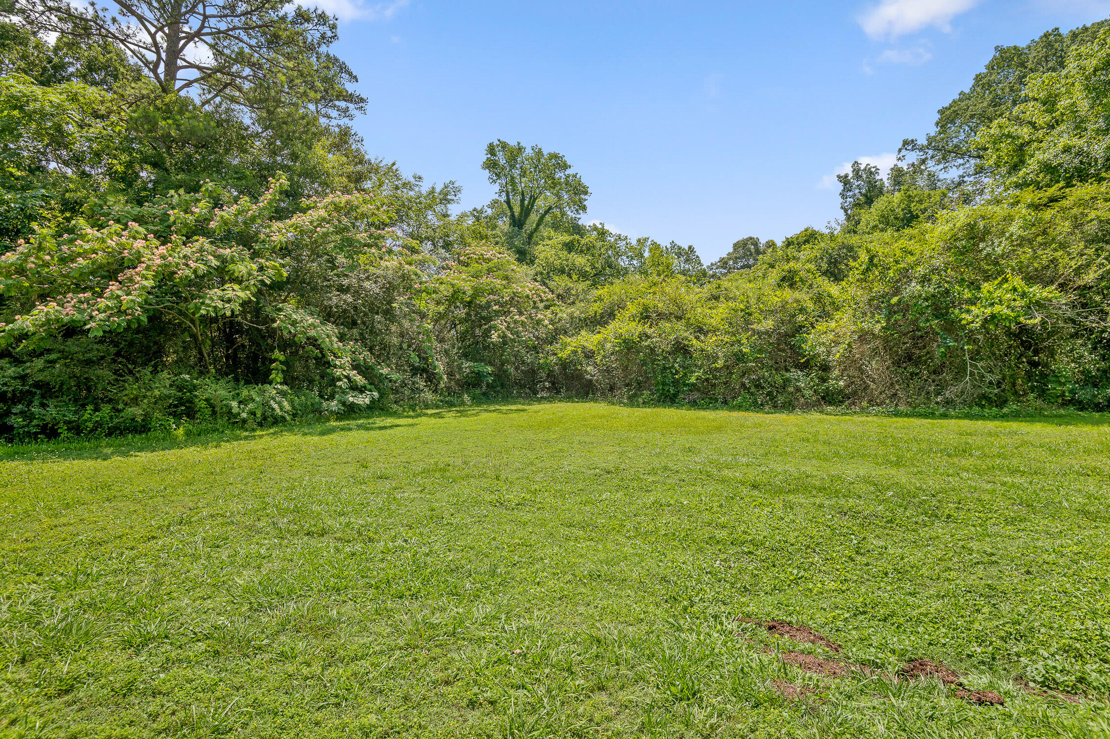 00 Shallowford Road, Chattanooga, Tennessee image 2