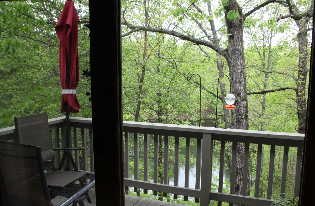 281 Moytoy   206 Road, Crab Orchard, Tennessee image 18