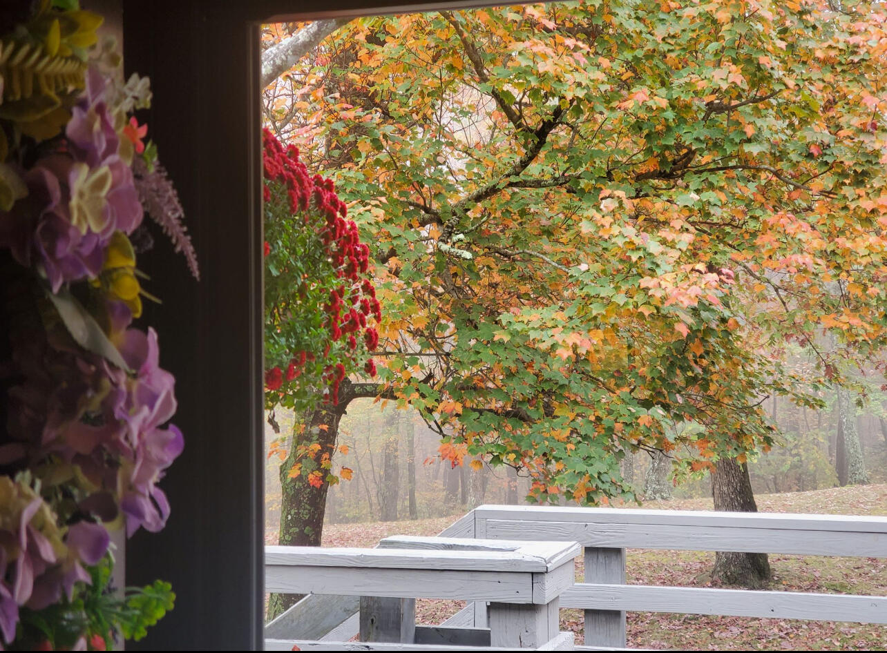 281 Moytoy   206 Road, Crab Orchard, Tennessee image 20