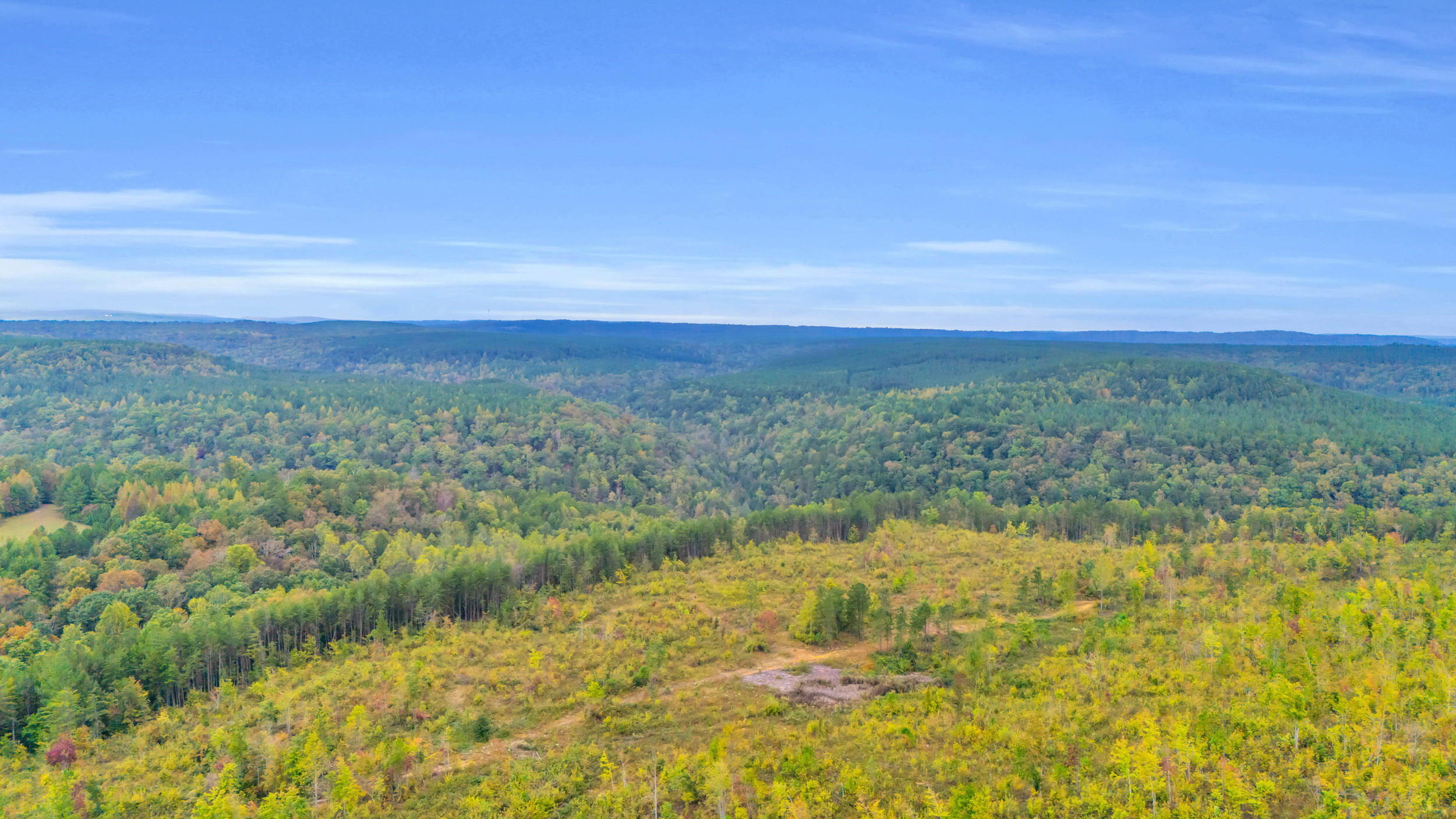 64.23 Ac Worley Road