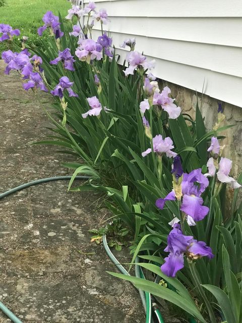 Tiny photo for 965 Signal Road, Signal Mountain, TN 37377 (MLS # 1527355)