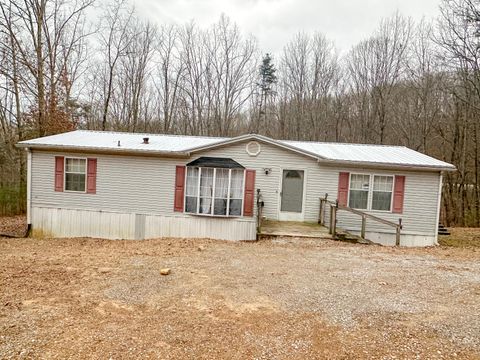 Photo of 330 Johnson Road, Pikeville, TN 37367 (MLS # 1525109)