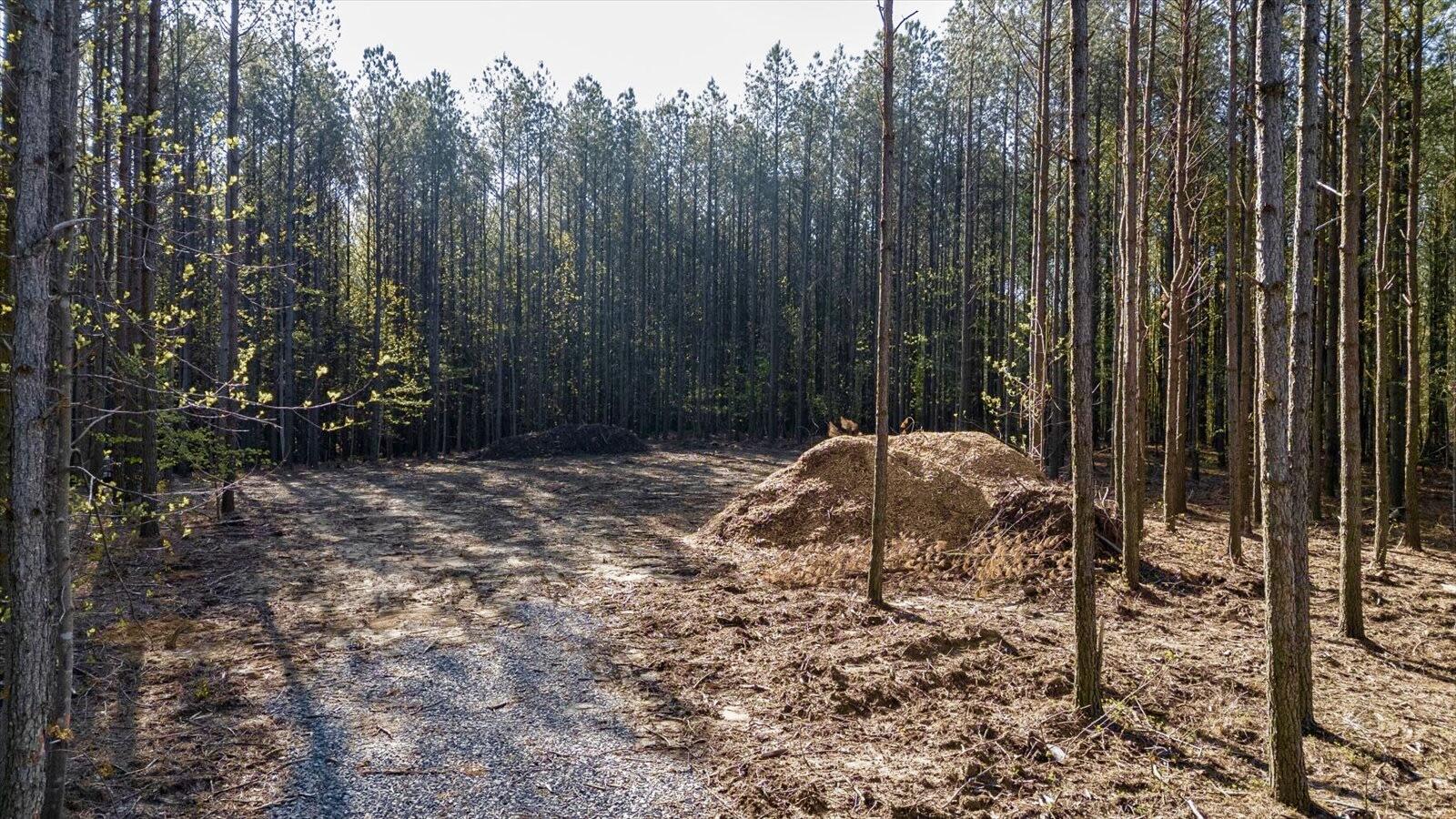 4670 Raulston Falls Road, Jasper, Tennessee image 13