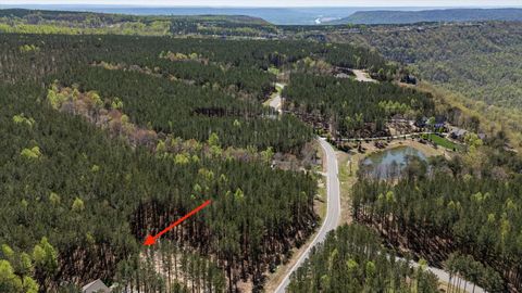 Tiny photo for 4670 Raulston Falls Road, Jasper, TN 37347 (MLS # 1510887)