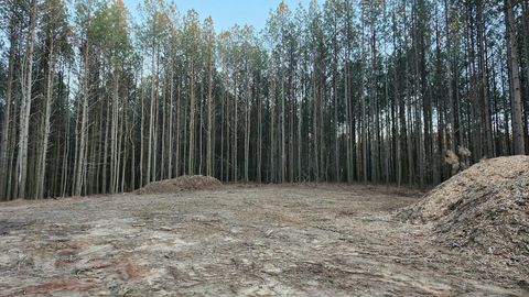 Tiny photo for 4670 Raulston Falls Road, Jasper, TN 37347 (MLS # 1510887)