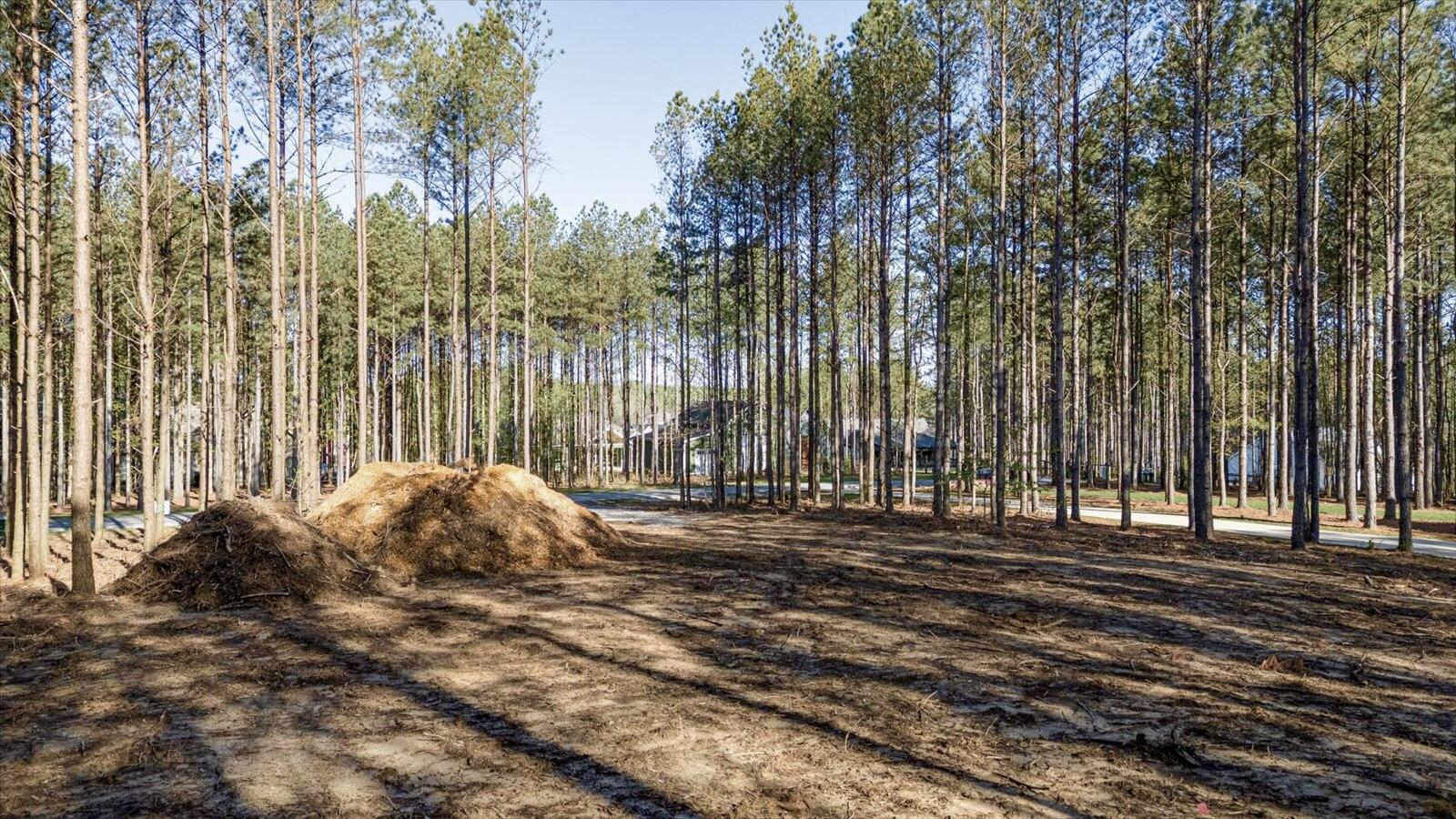 4670 Raulston Falls Road, Jasper, Tennessee image 15