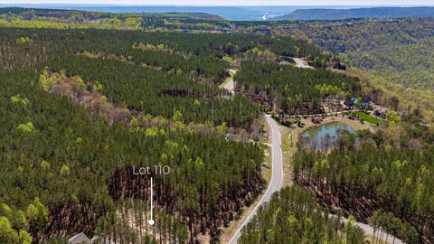 Tiny photo for 4670 Raulston Falls Road, Jasper, TN 37347 (MLS # 1510887)