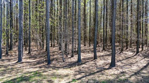 Tiny photo for 4670 Raulston Falls Road, Jasper, TN 37347 (MLS # 1510887)