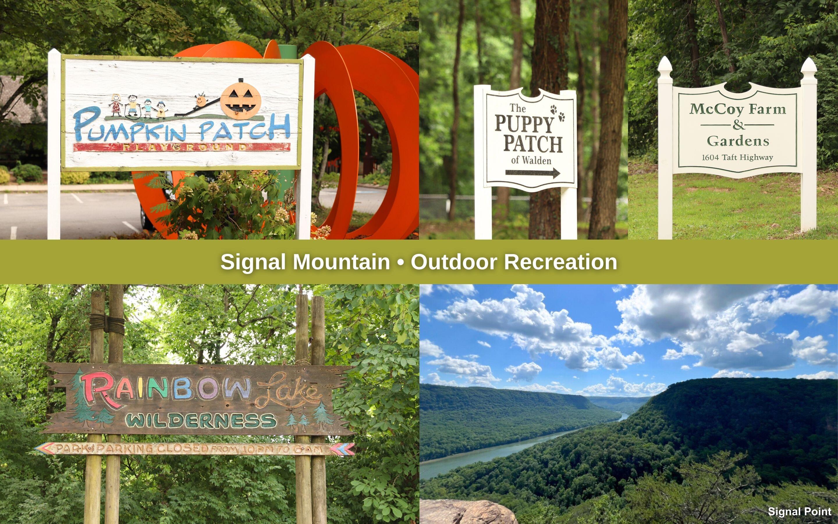 4101 Taft Highway, Signal Mountain, Tennessee image 26