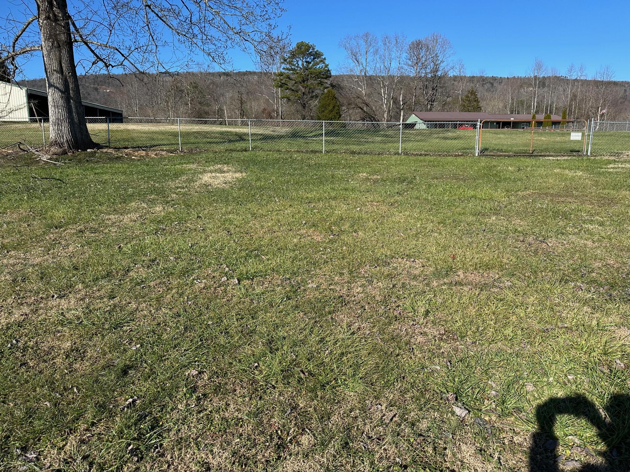 378 Evensville Mtn Road, Evensville, Tennessee image 19