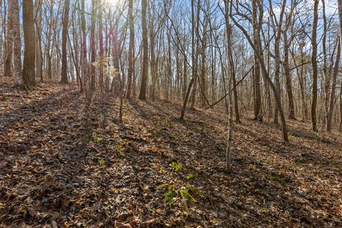 Photo of 698 Green Pond Road, Soddy Daisy, TN 37379 (MLS # 1513810)