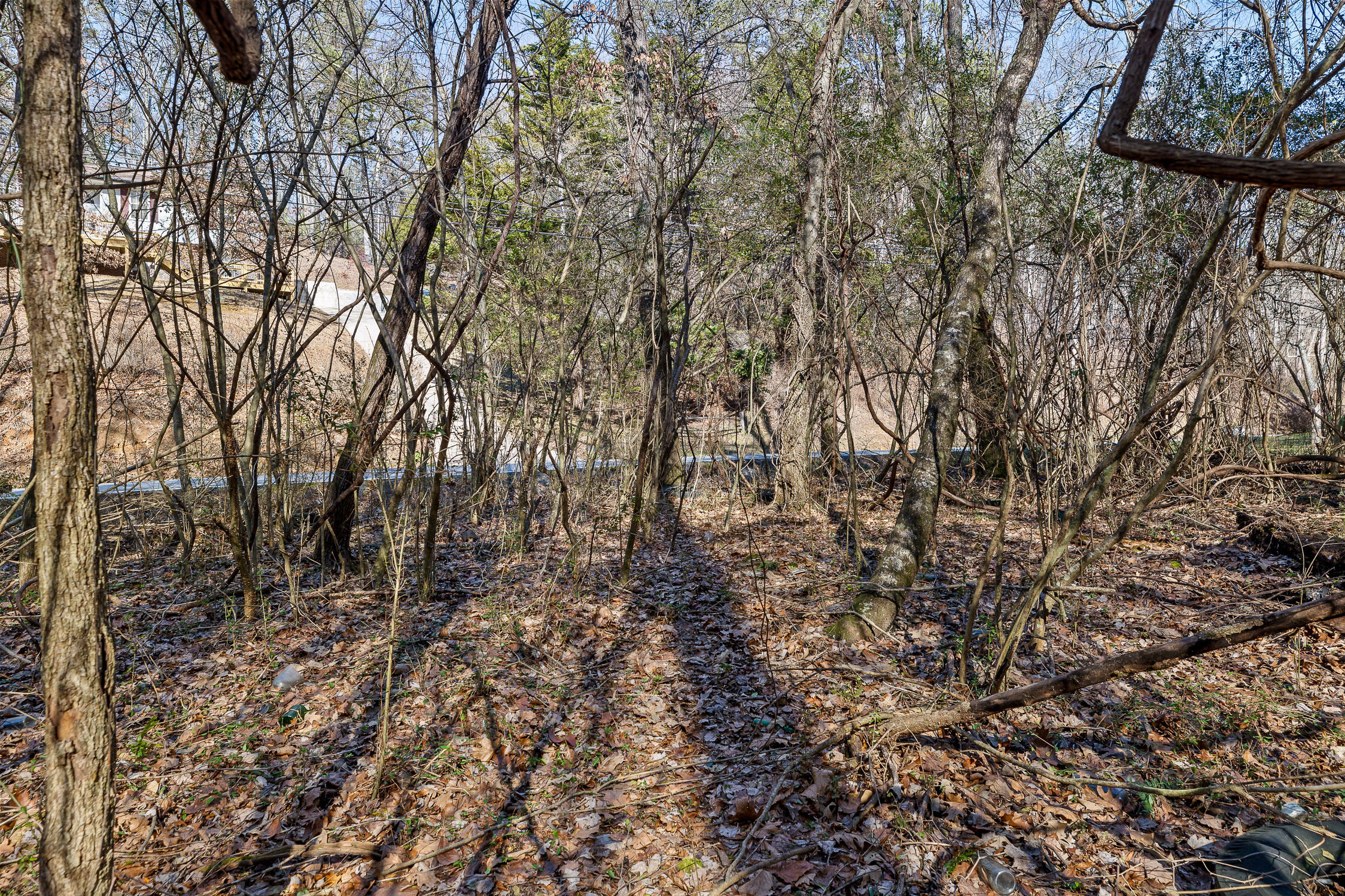 698 Green Pond Road, Soddy Daisy, Tennessee image 23