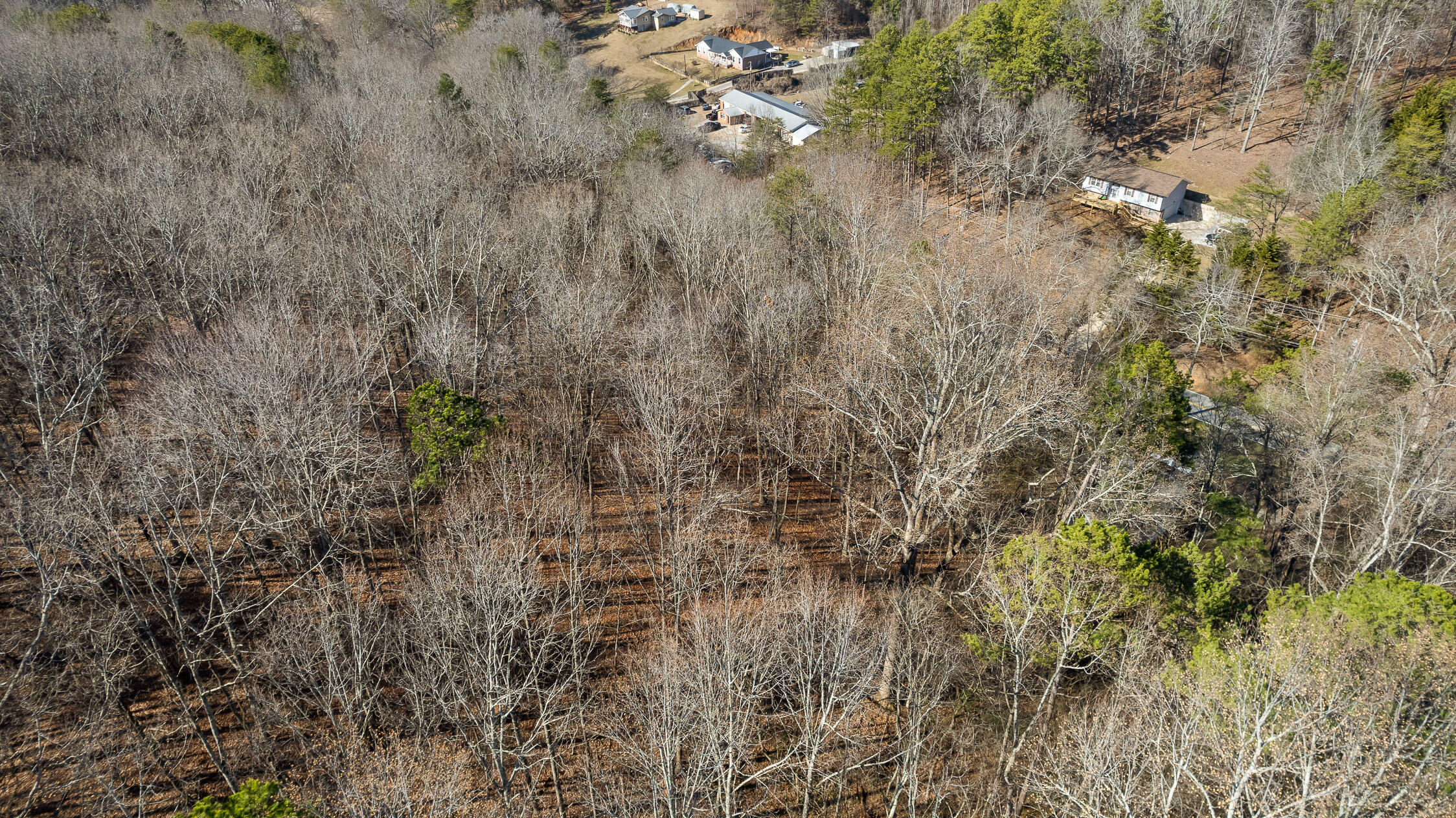 698 Green Pond Road, Soddy Daisy, Tennessee image 16