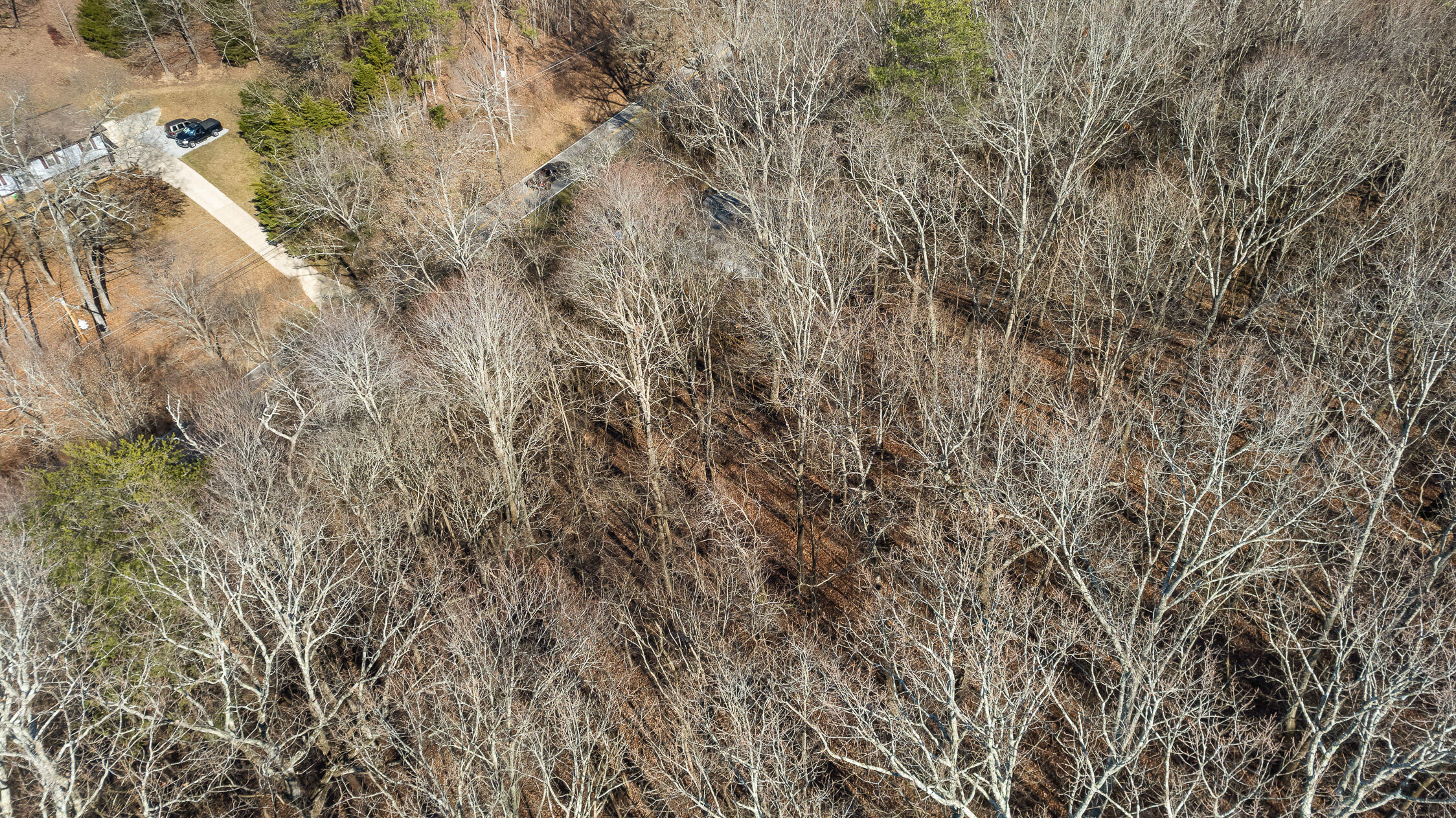 698 Green Pond Road, Soddy Daisy, Tennessee image 18
