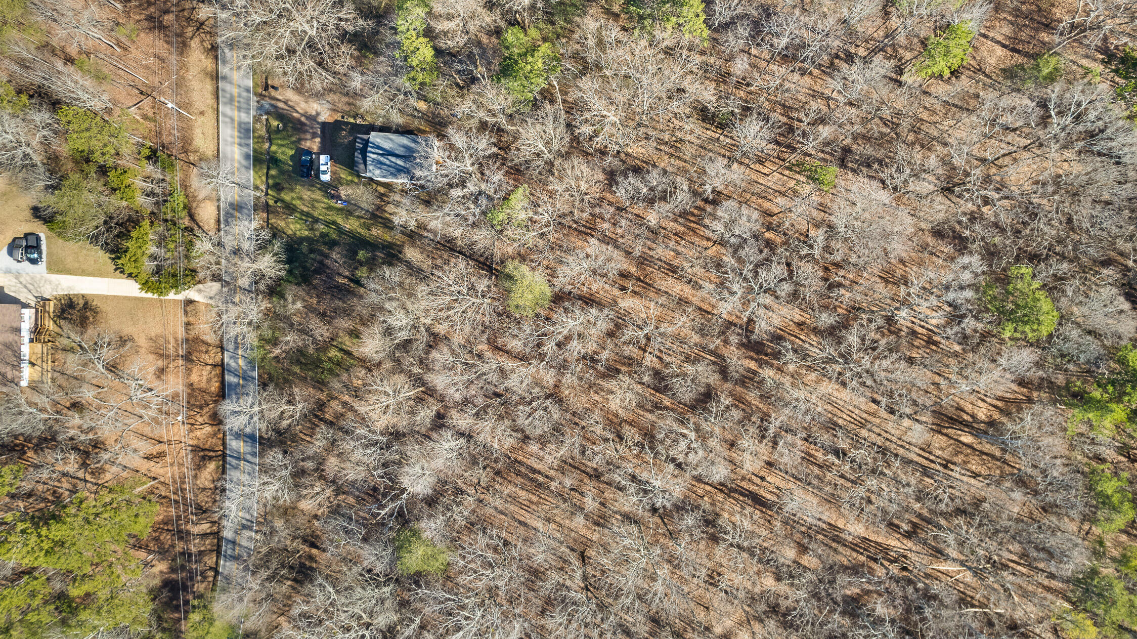 698 Green Pond Road, Soddy Daisy, Tennessee image 10