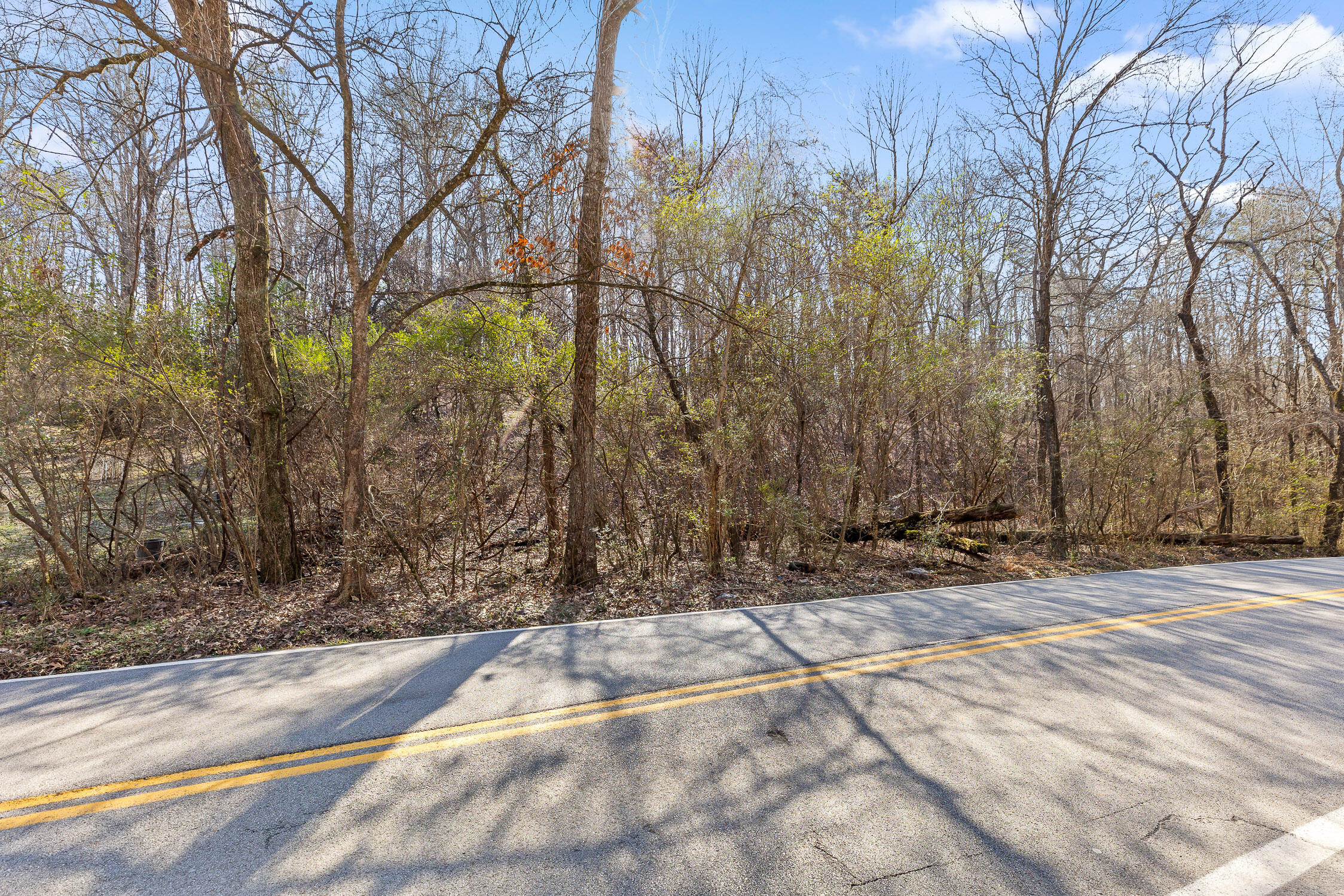 698 Green Pond Road, Soddy Daisy, Tennessee image 21
