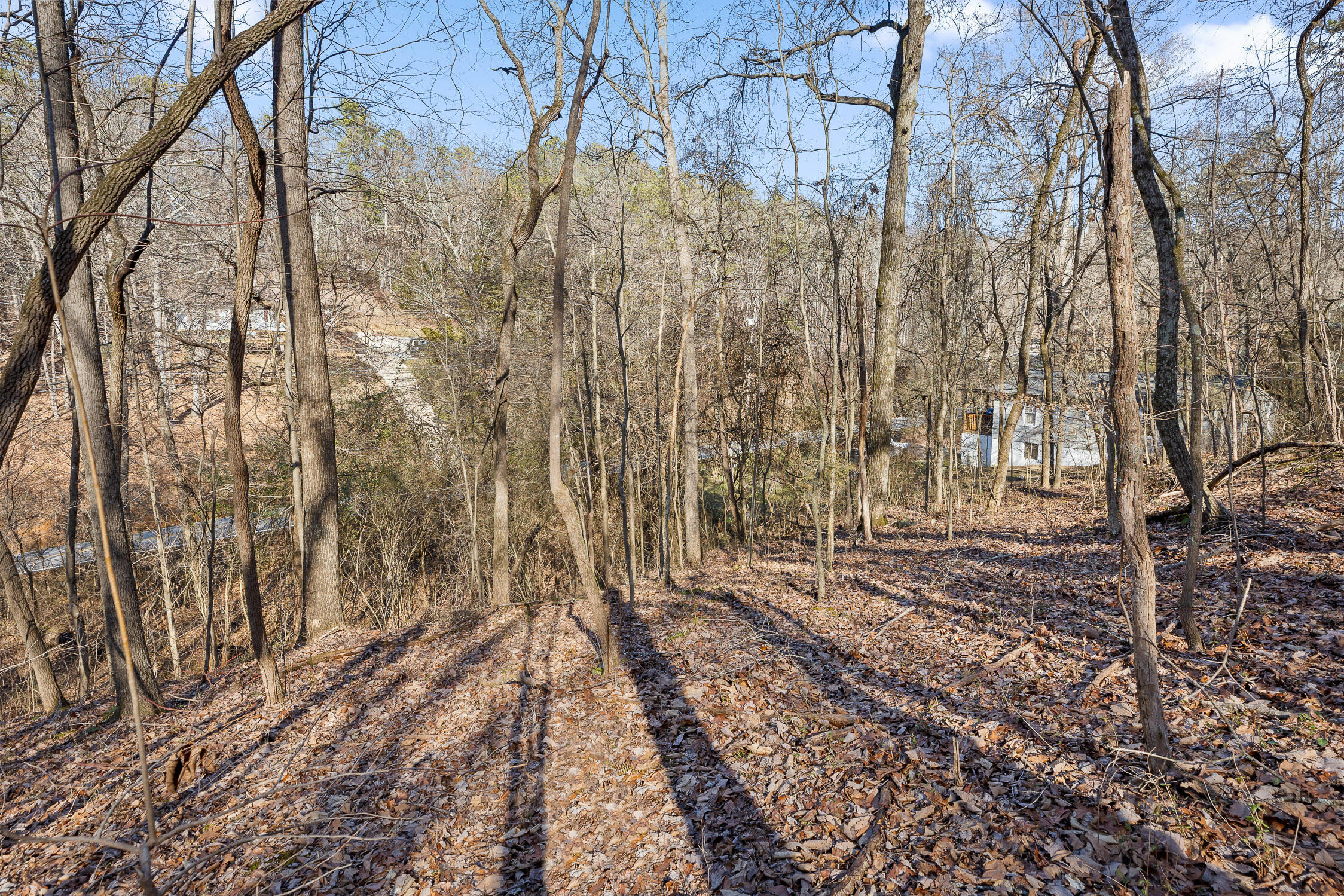 698 Green Pond Road, Soddy Daisy, Tennessee image 29