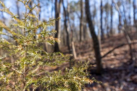 Tiny photo for 698 Green Pond Road, Soddy Daisy, TN 37379 (MLS # 1513810)