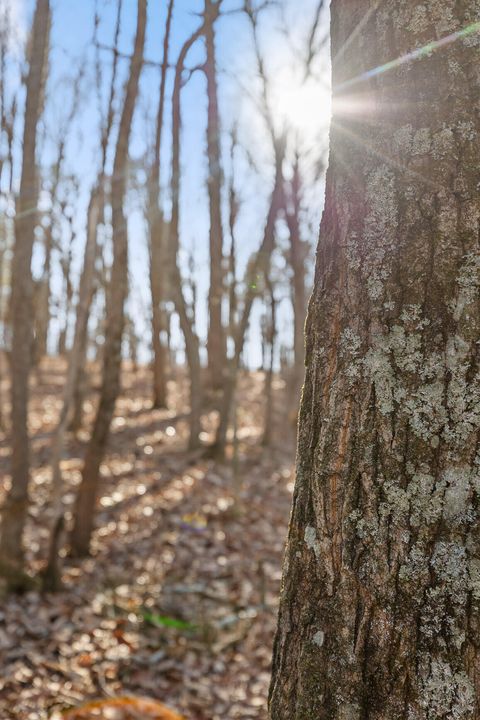 Tiny photo for 698 Green Pond Road, Soddy Daisy, TN 37379 (MLS # 1513810)