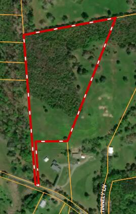11 Ac Worley Chapel Road, Trenton, Georgia image 4