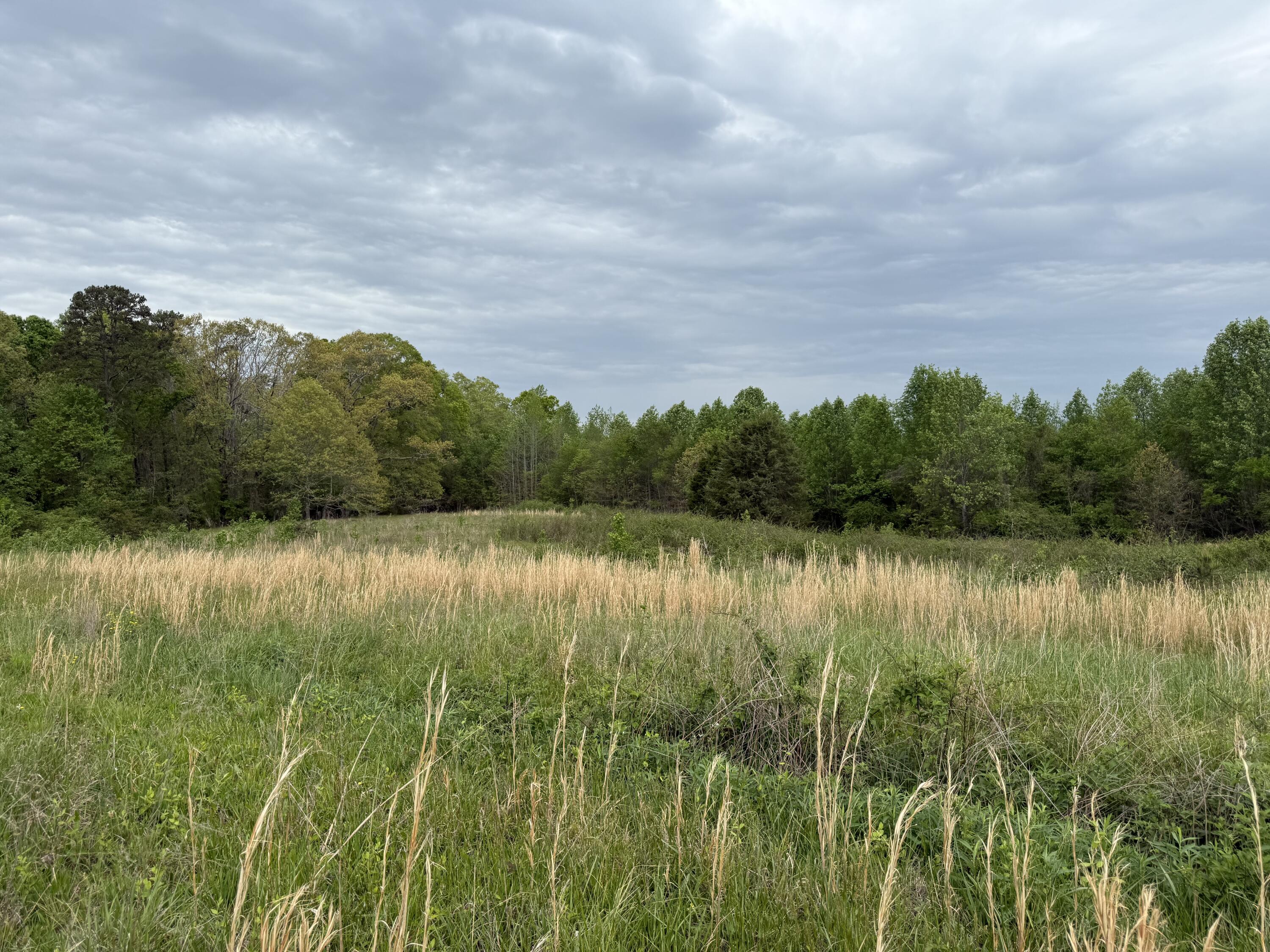 11 Ac Worley Chapel Road, Trenton, Georgia image 1