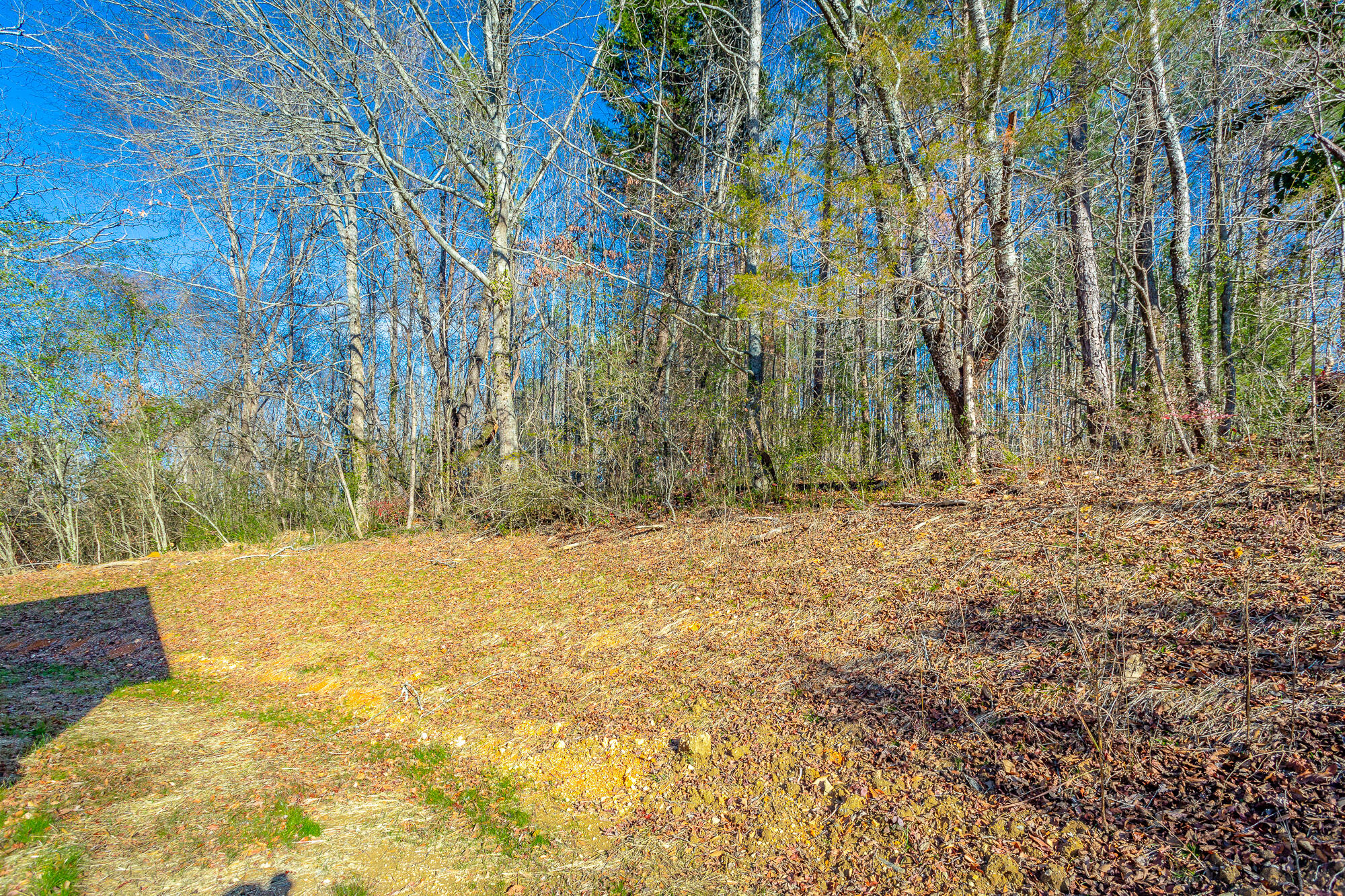 808 Hogan Road, Rossville, Georgia image 40