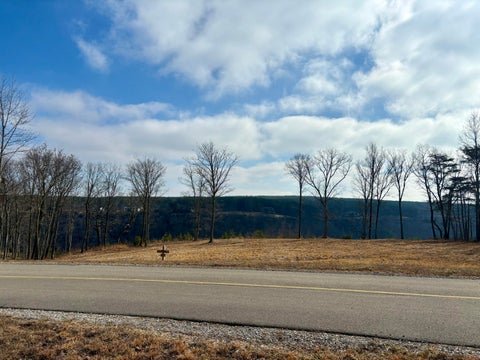 Vacant Land For Sale - 430 Crockett Loop<br/> Marion County County, Jasper, TN 37347