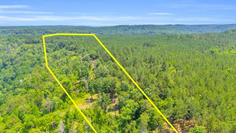 Vacant Land For Sale - Worley Road<br/> Soddy Daisy, TN 37379