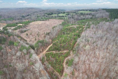 Vacant Land For Sale - 00 Big Sewee Lot 5<br/> Decatur, TN 37322