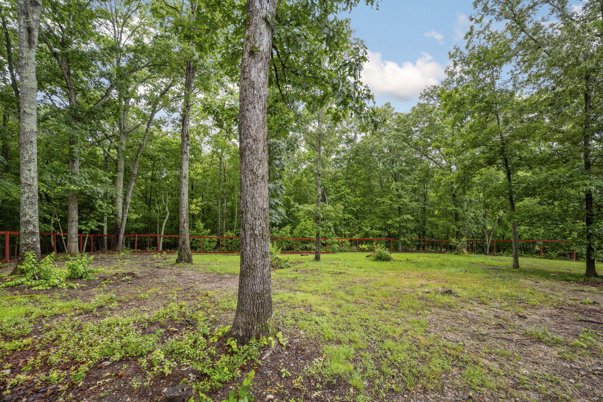 1804 Staghorn Drive, Soddy Daisy, Tennessee image 5