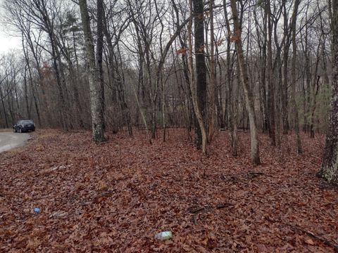 Vacant Land For Sale - 000 White Oak Circle<br/> Spring City, TN 37381